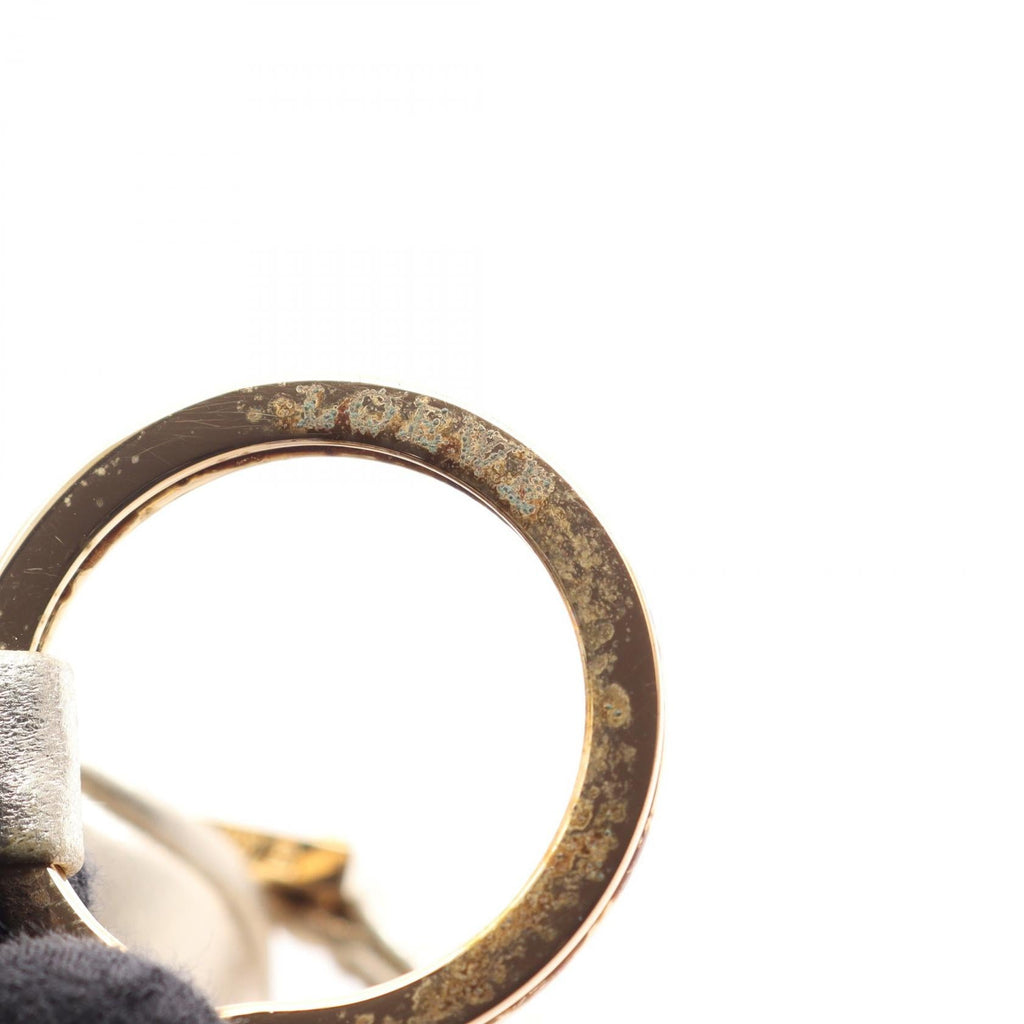 LOEWE Loewe Handbag Amazona Micro Mini Keyring Leather Gold image 7