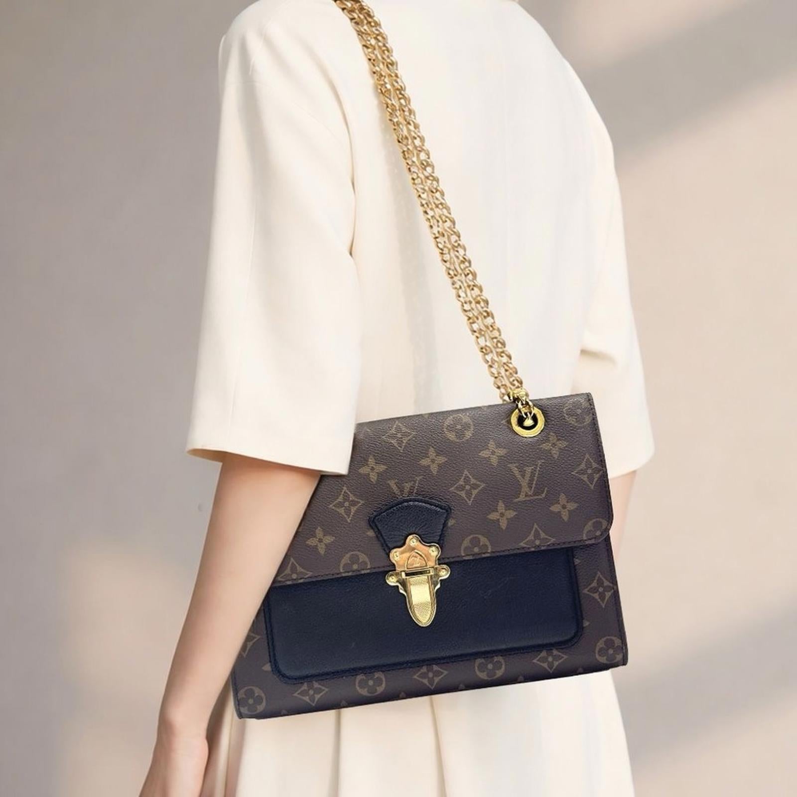 Louis Vuitton Brown and Black Monogram Bag