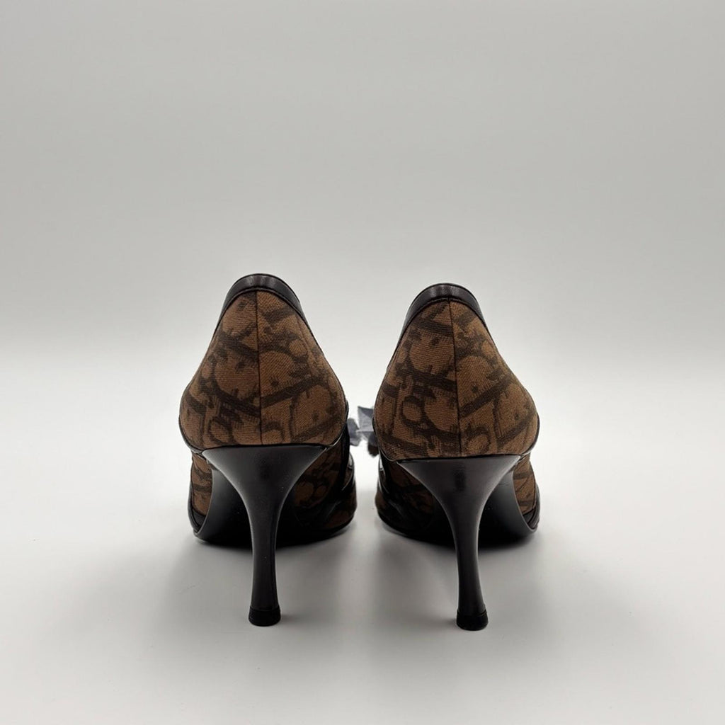 Christian Dior Monogram Canvas Pointed Toe Heels with Floral Detail