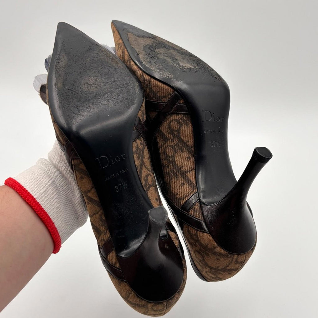 Christian Dior Monogram Canvas Pointed Toe Heels with Floral Detail