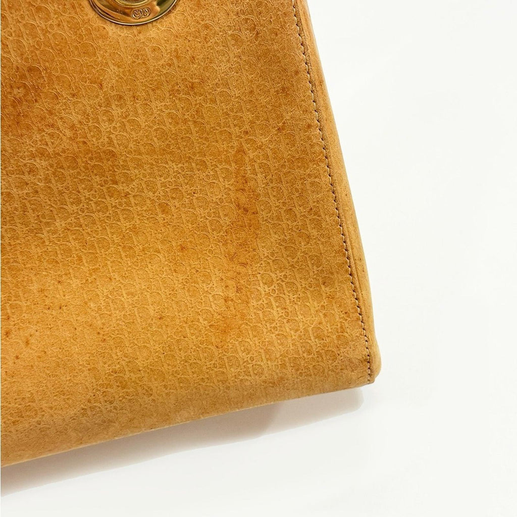 Lady Dior By John Galliano Brown Suede Medium Handbag