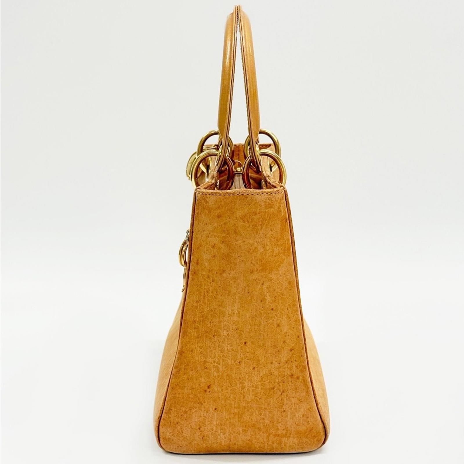 Lady Dior By John Galliano Brown Suede Medium Handbag