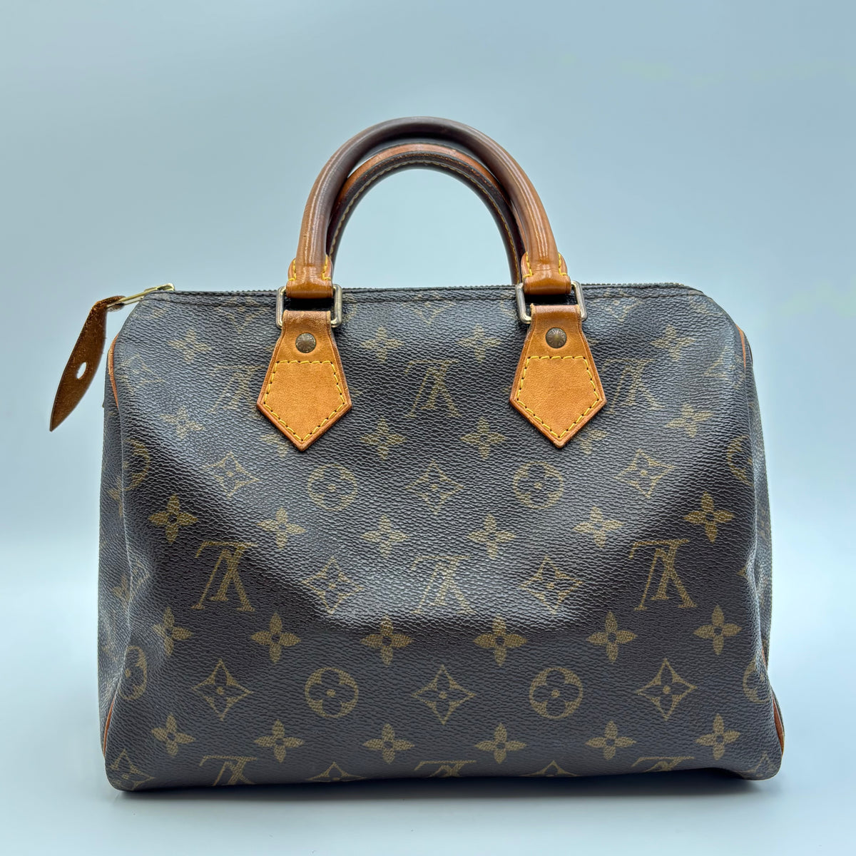 Louis Vuitton Speedy 25 Monogram Canvas Bag
