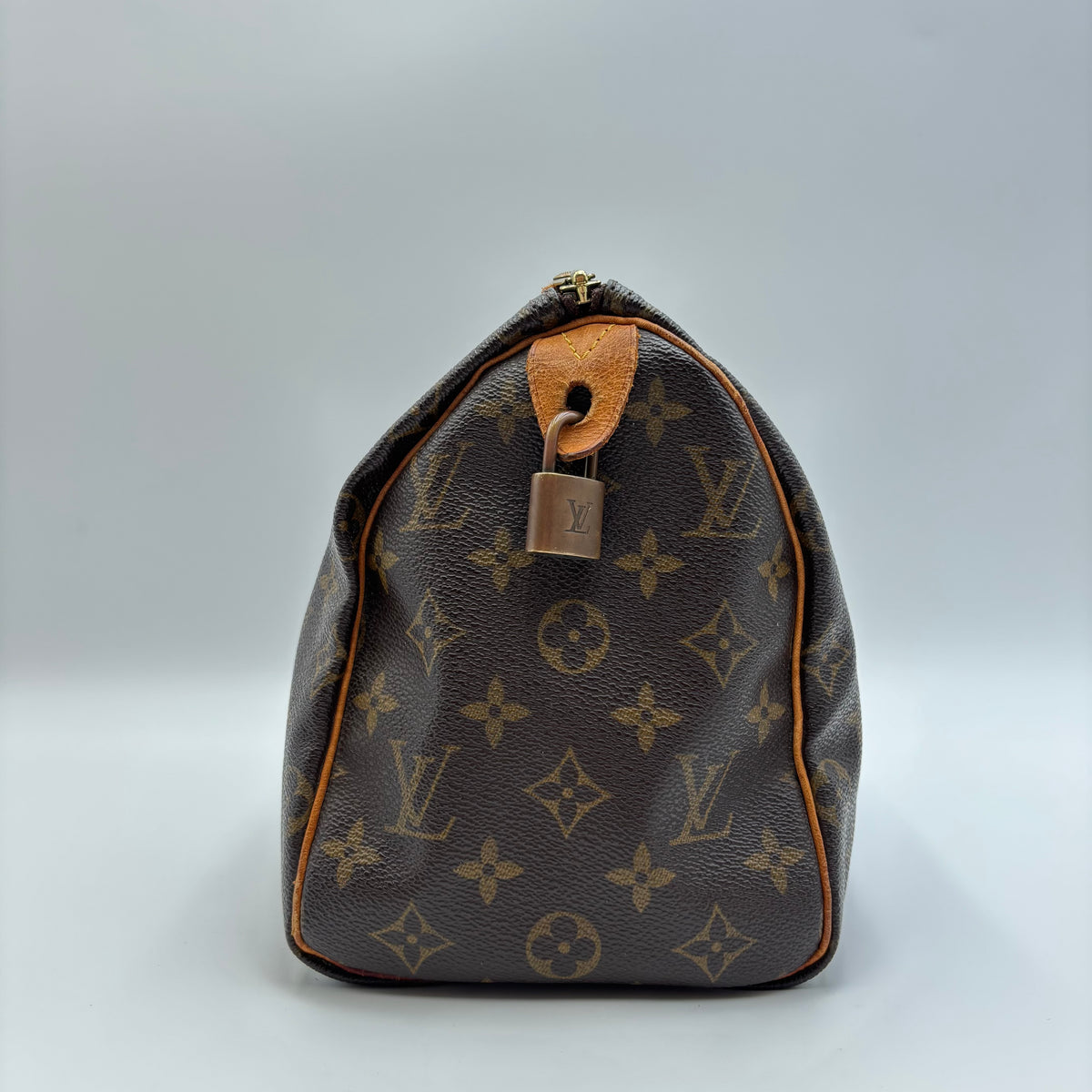 Louis Vuitton Speedy 25 Monogram Canvas Bag