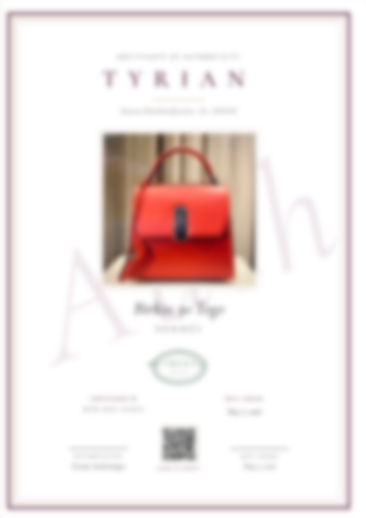 Item Authentication Other Luxury Bags