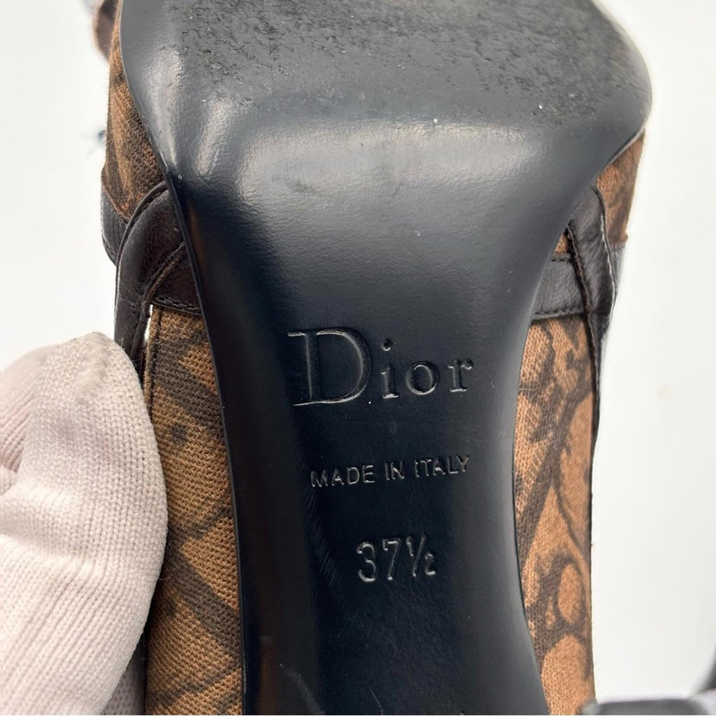 Christian Dior Monogram Canvas Pointed Toe Heels with Floral Detail